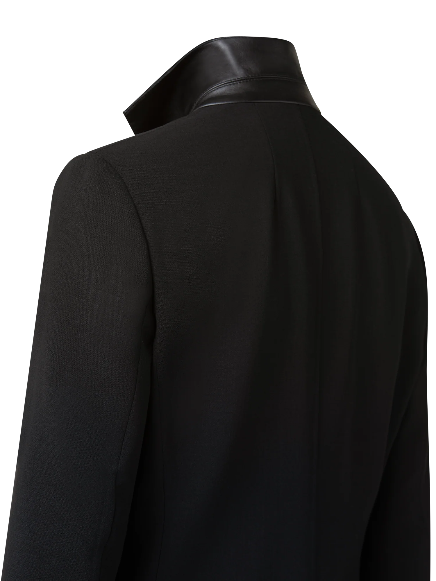 Wool Double-Face Blazer with a Leather-Lined Collar - Image 3